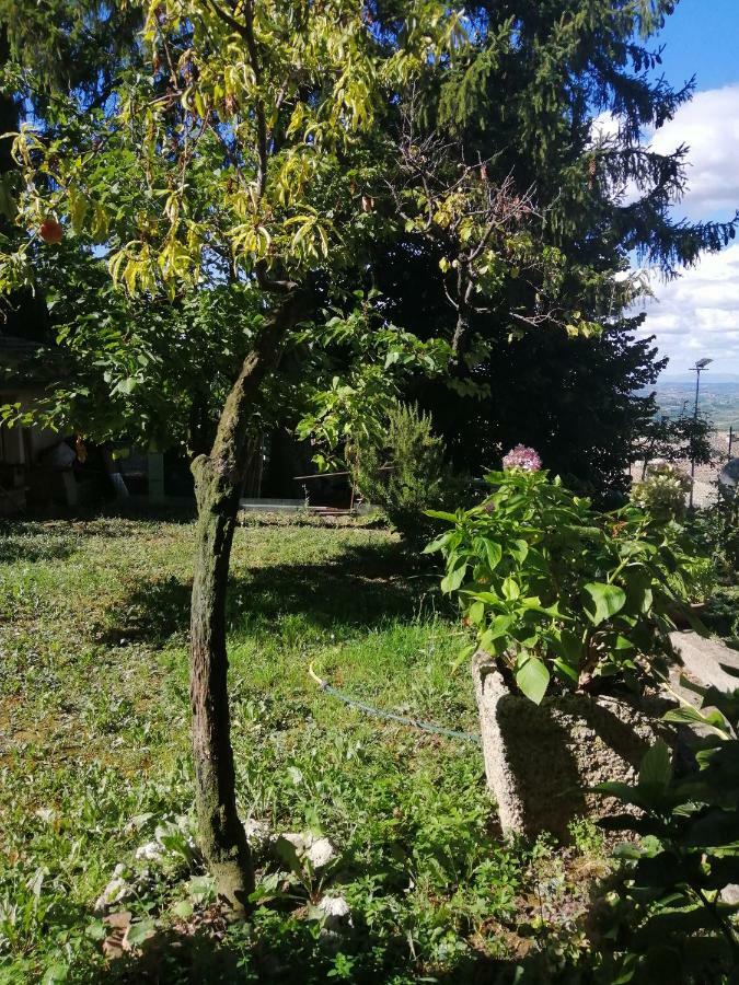 Orto Di Emma Apartment San Gimignano Exterior photo